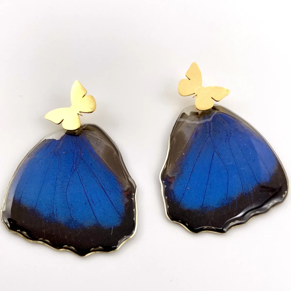 Morpho Butterfly buy Earrings